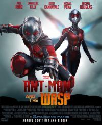 Antman and the wasp