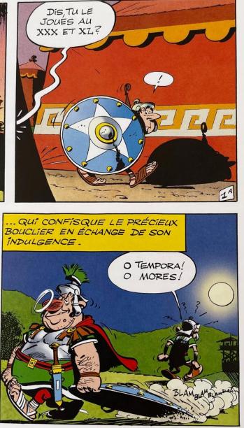 Asterix le bouclier arverne double case 2