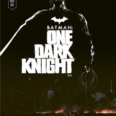 Batman one dark knight