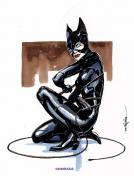 Catwoman par rm guera