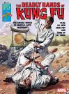 Deadly hands of kung fu 21