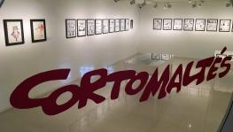 Expo corto maltes