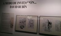 Expo david rubin