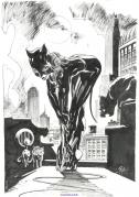 Catwoman par Boschi