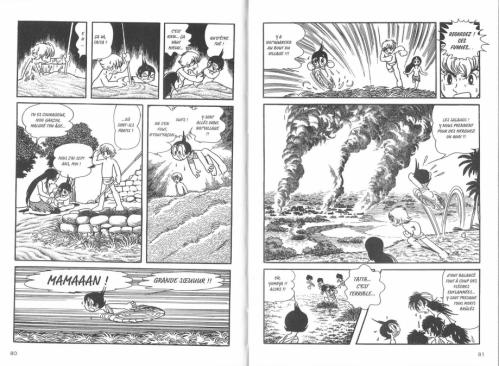 La vie de bouddha double planche