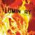 LUMINARY 3