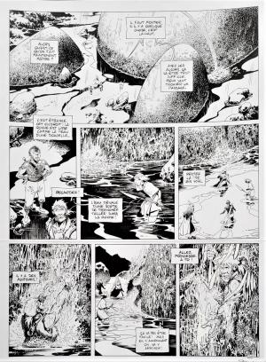Quete de l oiseau du temps graine 26