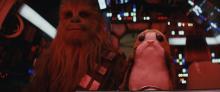 Star wars les derniers jedi bestioles