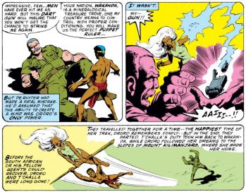 Storm black panther marvel team up