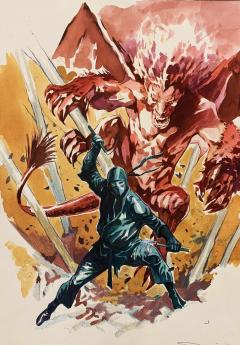 The last shinobi